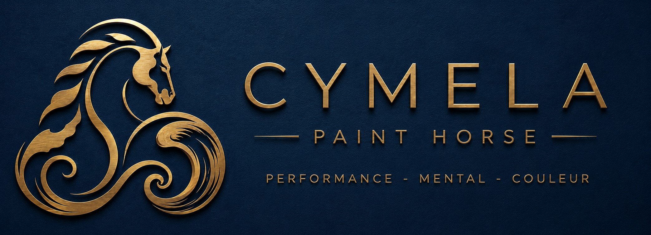 Cymela Paint Horse, élevage familial dans le Morbihan
